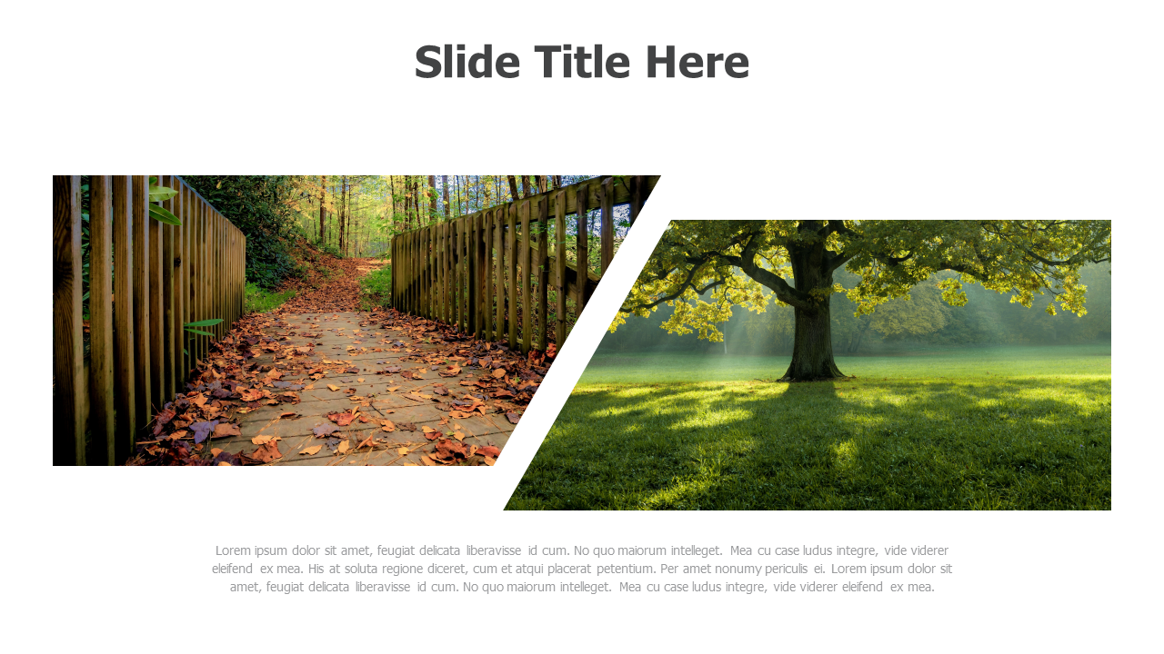 Images placeholders