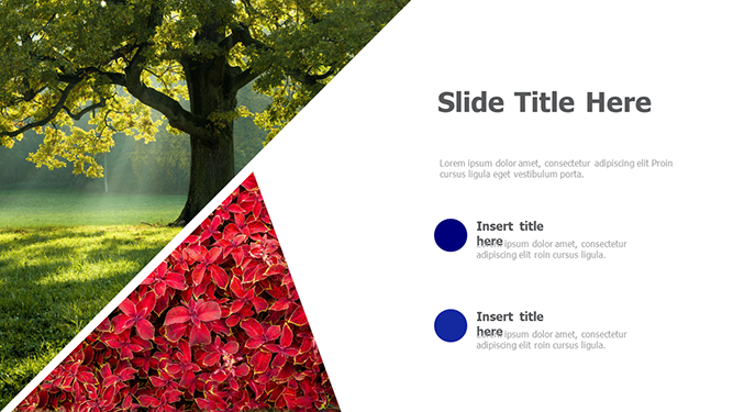 2 triangle images placeholders 58