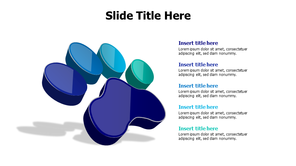 5 points 3D pet paw infographic