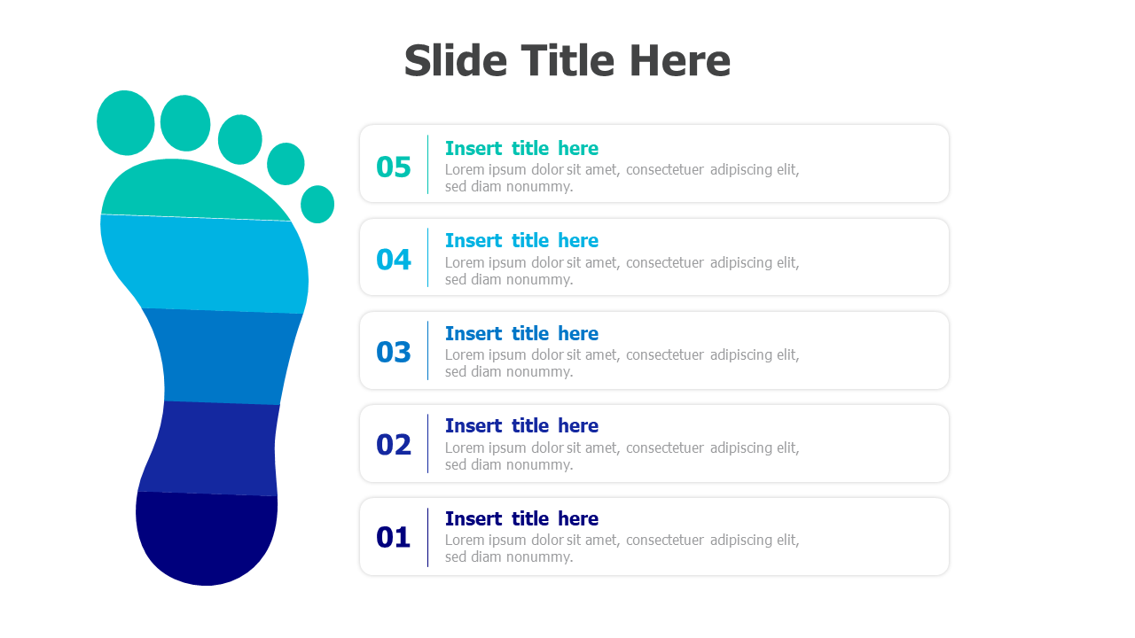 5 points footprint infographic 19