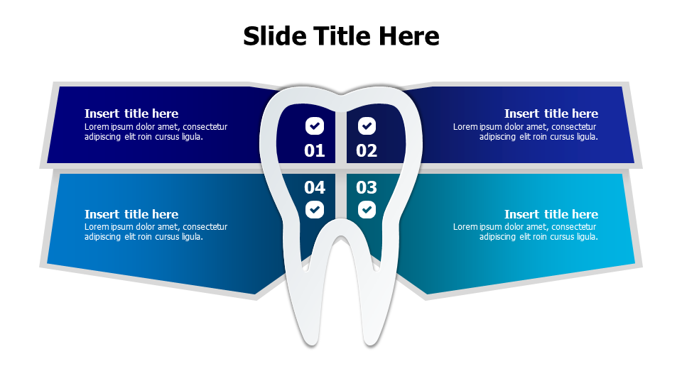 4 point infographic around a tooth
