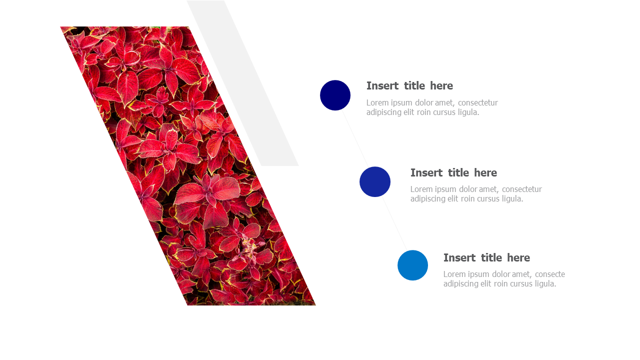 left image placeholder 57