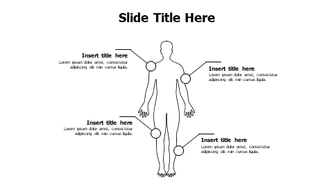 4 points outline human body infographic