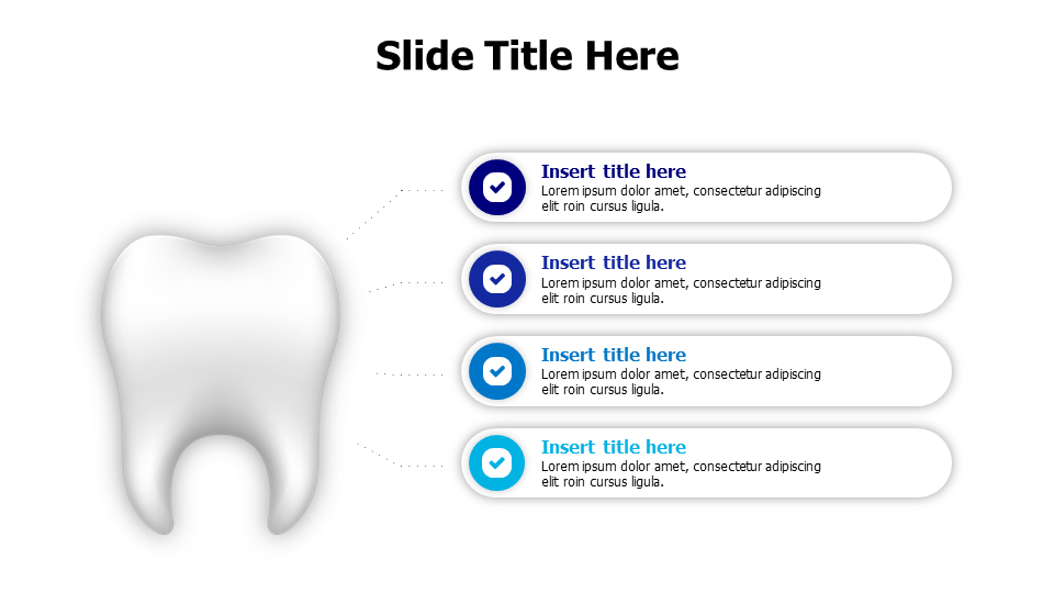 4 points infographic from a tooth