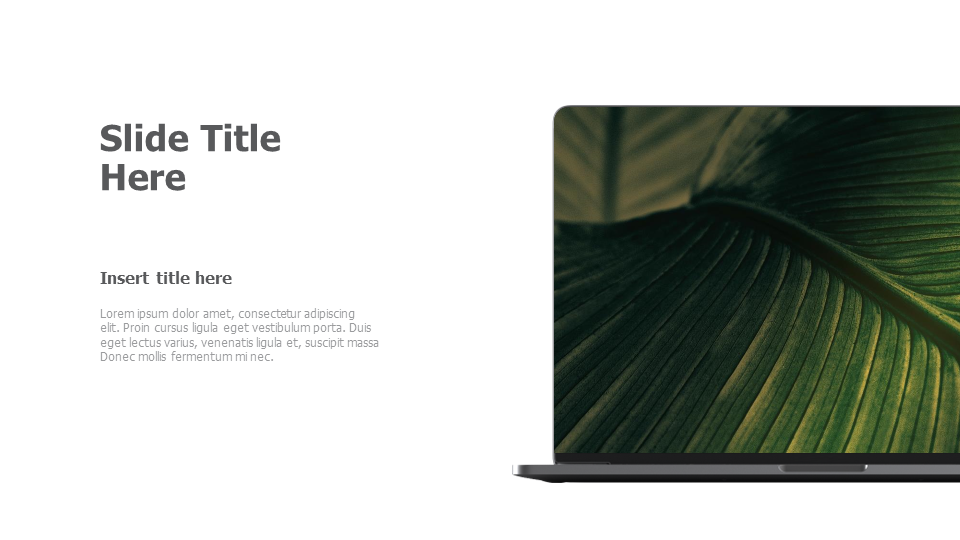 Right cropped computer screen mockup