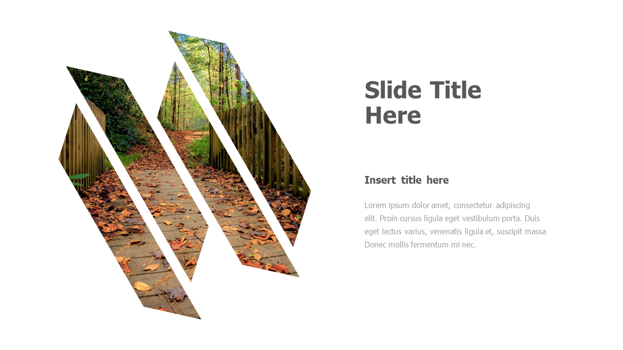 left image placeholder 47