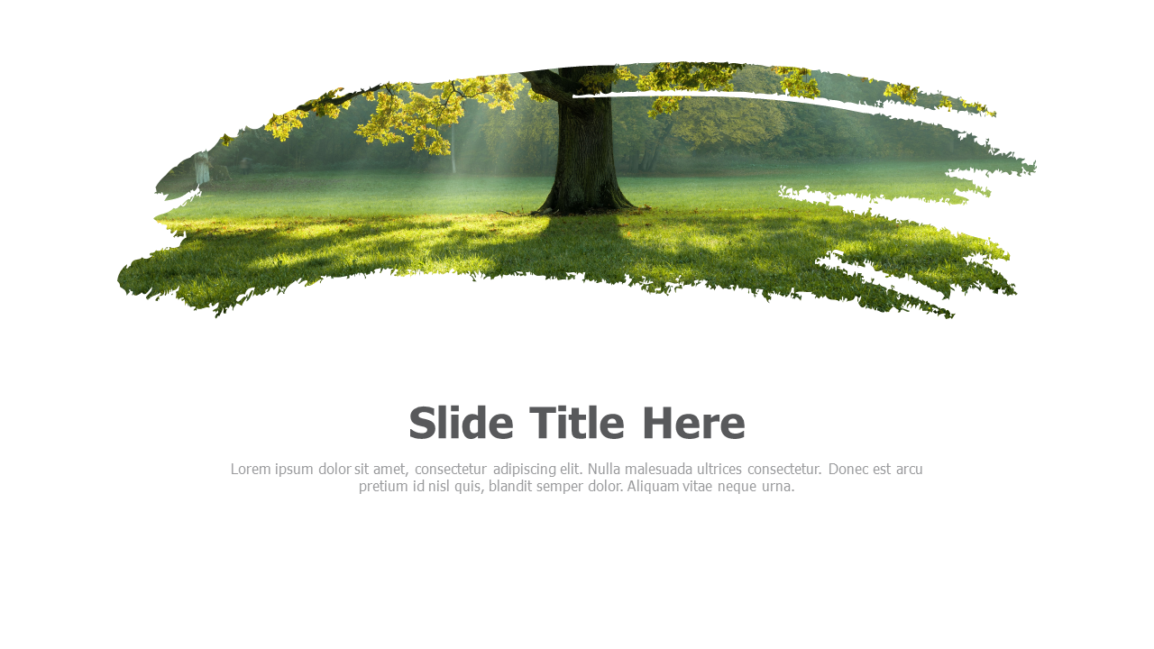 Brush image placeholder 25