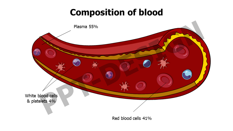 Composition of blood