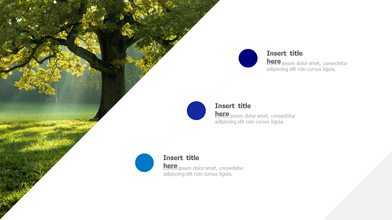 Left triangle image placeholder 61