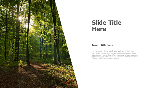 left image placeholder 11