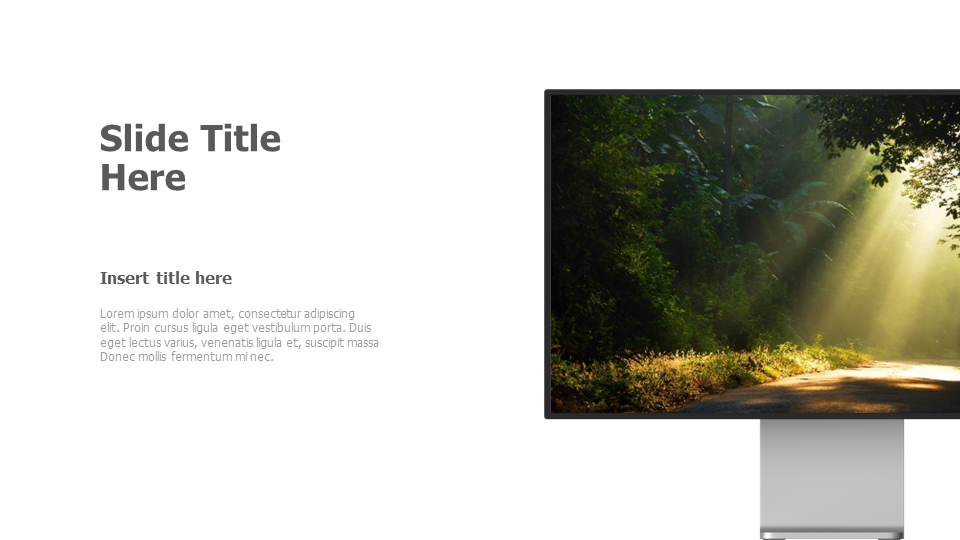 Right cropped screen mockup