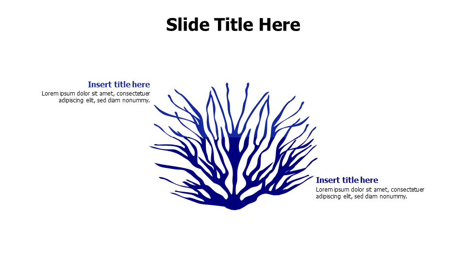 2 points divided colored coral reef infographic