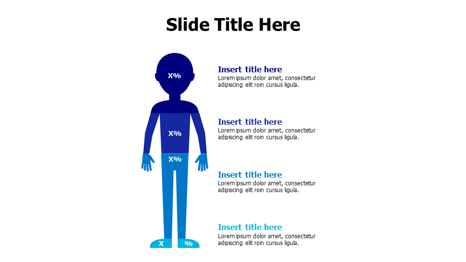 4 points human divided to percentages infographic