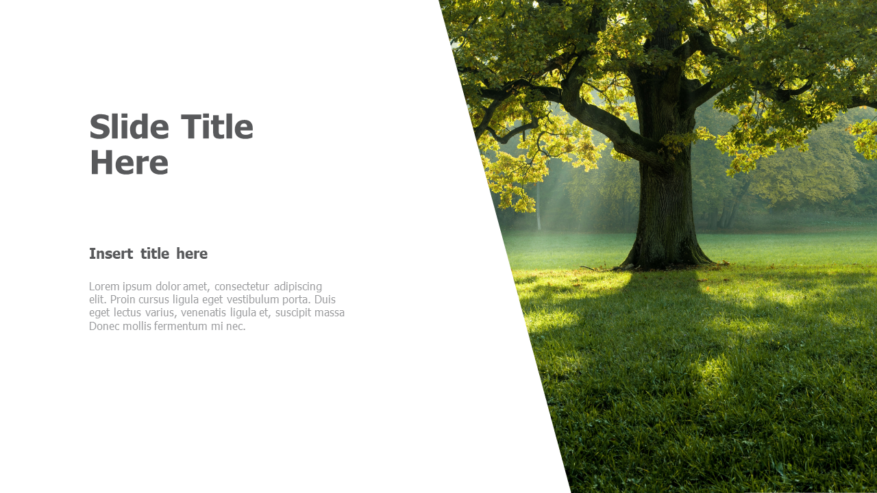 Right image placeholder 12