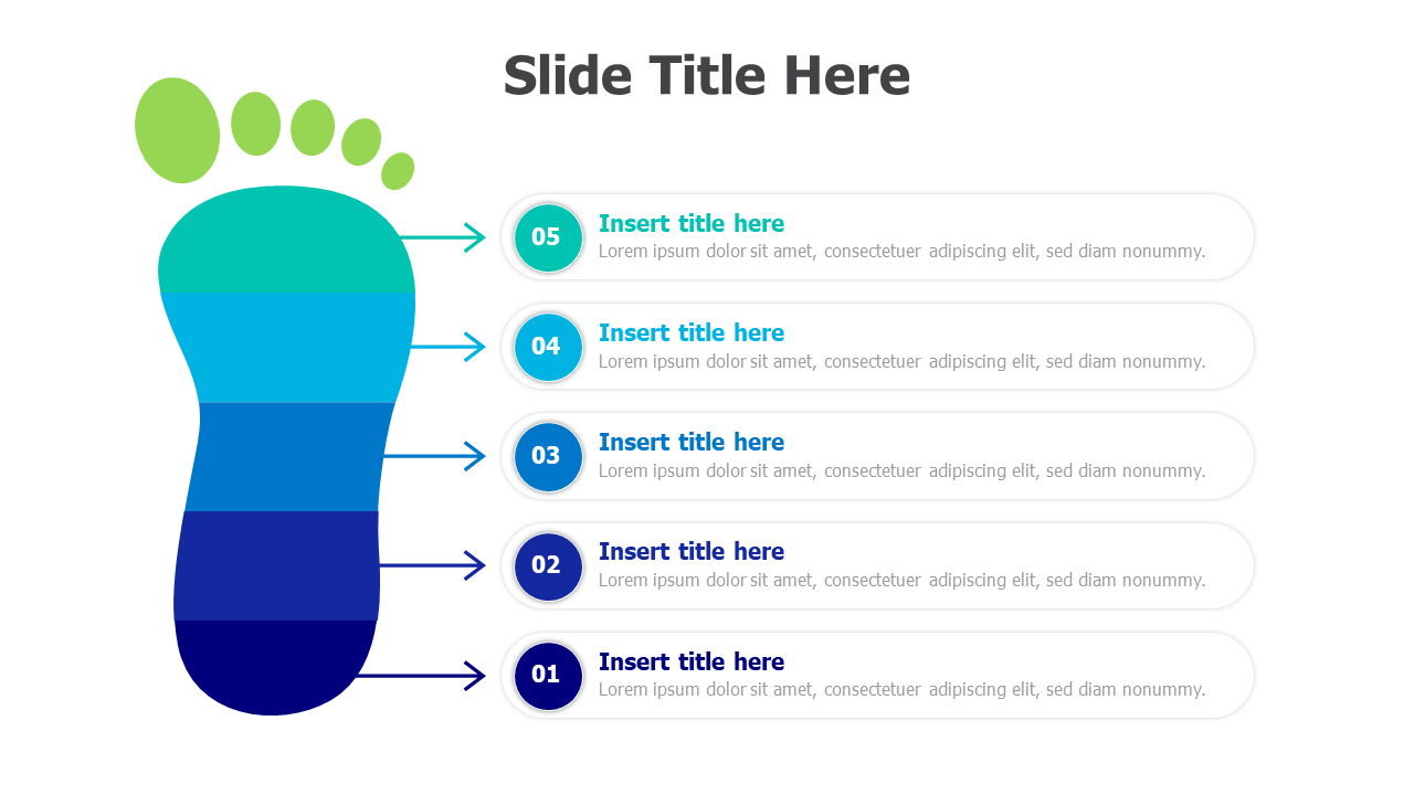 5 points footprint infographic 8