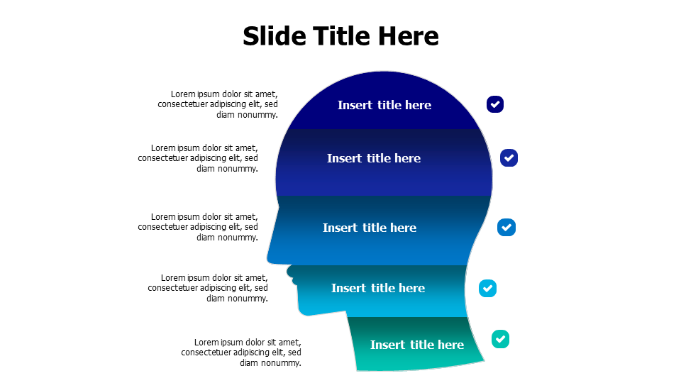 5 points divided human head infographic