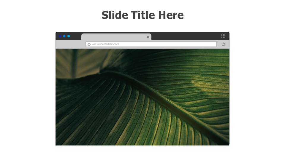 Website mockup