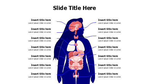 14 points woman body infographic