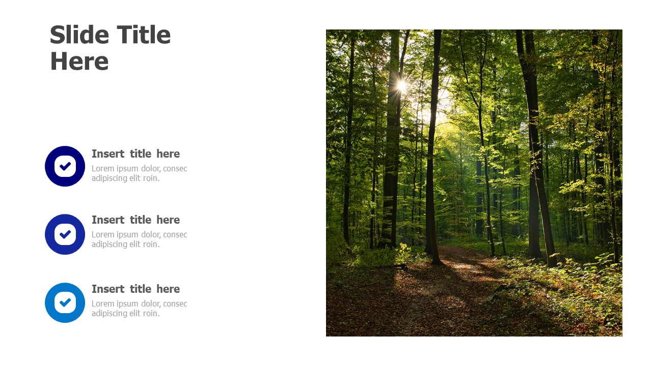 1 right image placeholder 5
