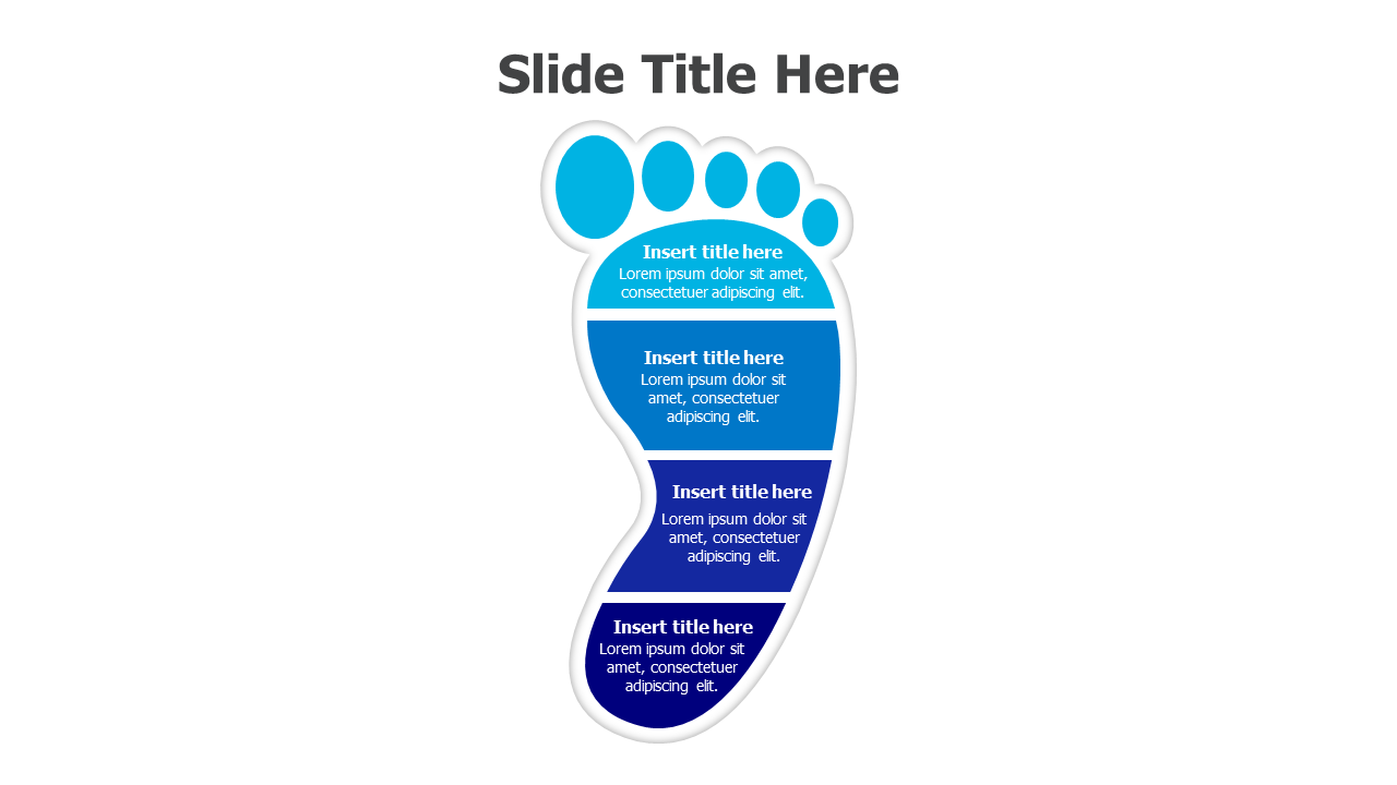 4 points footprint infographic 4