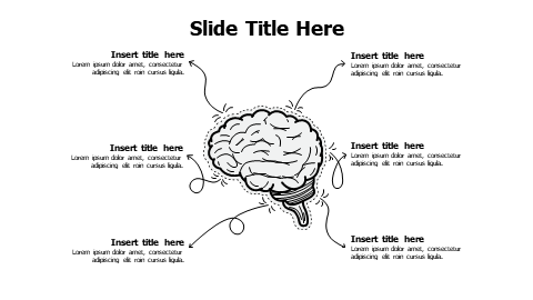 6 points doodle brain infographic
