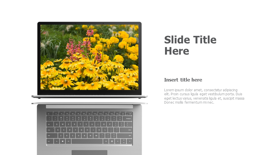 Right laptop mockup with reflection