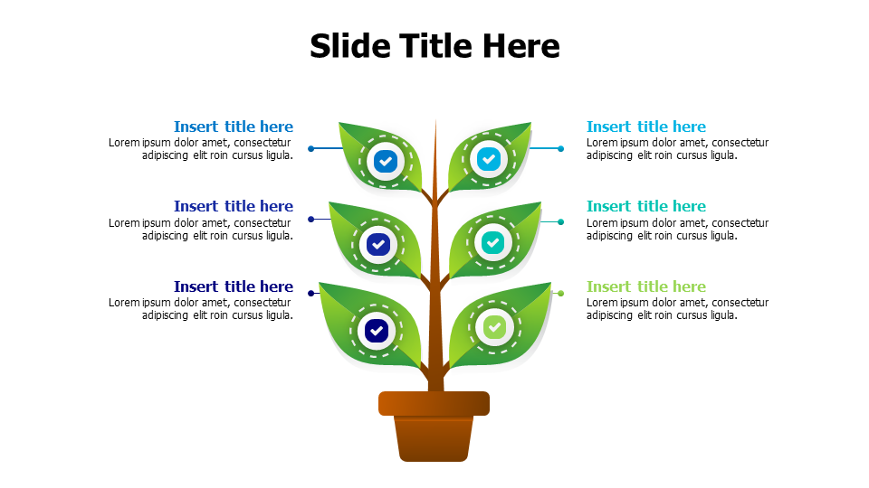 6 points tree from a pot infographic