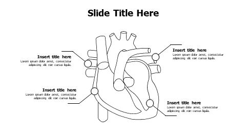 4 points outline heart infographic
