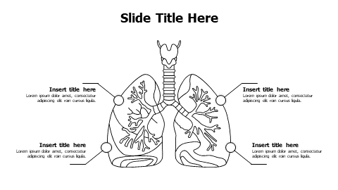4 points outline lungs infographic