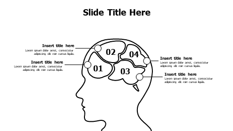 4 points outline brain infographic with numbers